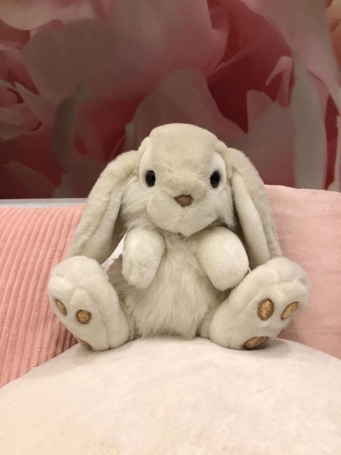Pan Pan Le Lapin Aubagne-Cassis-Aix En Provence Apartment Luaran gambar